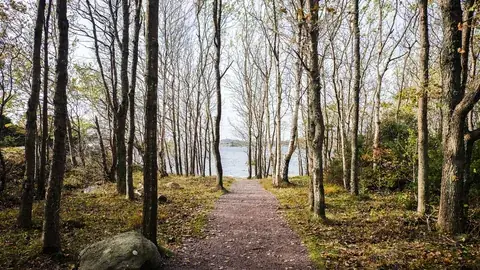 Hverdagsaktivitet betyr mer for blodsukkeret enn harde økter.